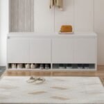 Cabinet Shoes with a modern design