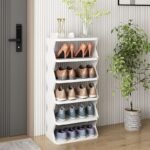 Cabinet Wooden Multi the shelves