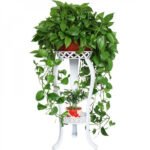 ⁦وعاء نبات معدني⁩ - الصورة ⁦3⁩