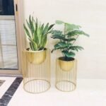 ⁦وعاء نباتات⁩ - الصورة ⁦5⁩