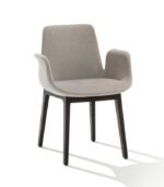 ⁦كرسي "إليت" (Elite Chair)⁩ - الصورة ⁦2⁩